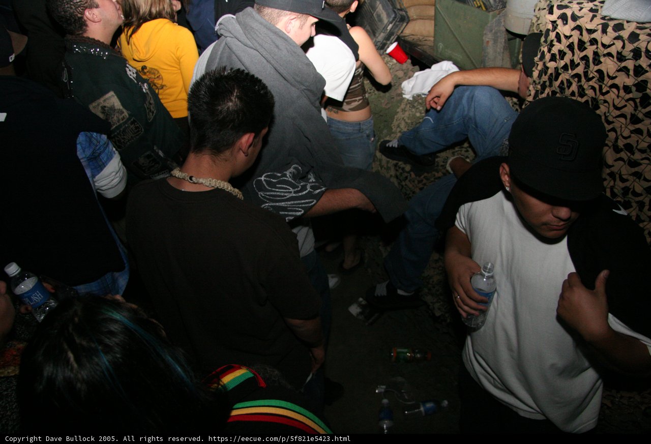 Nightlife Gathering