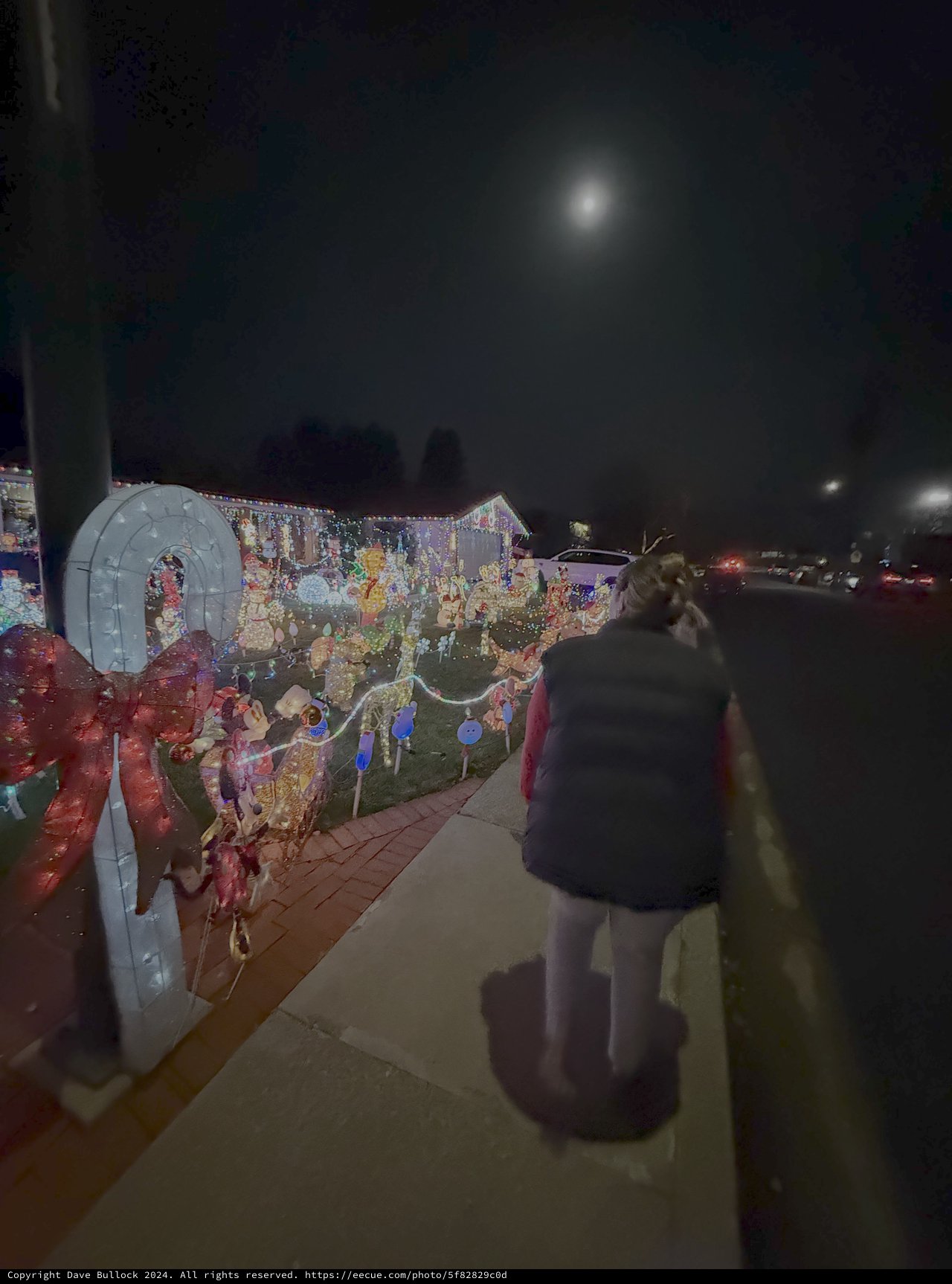 Festive Holiday Christmas Display at Night