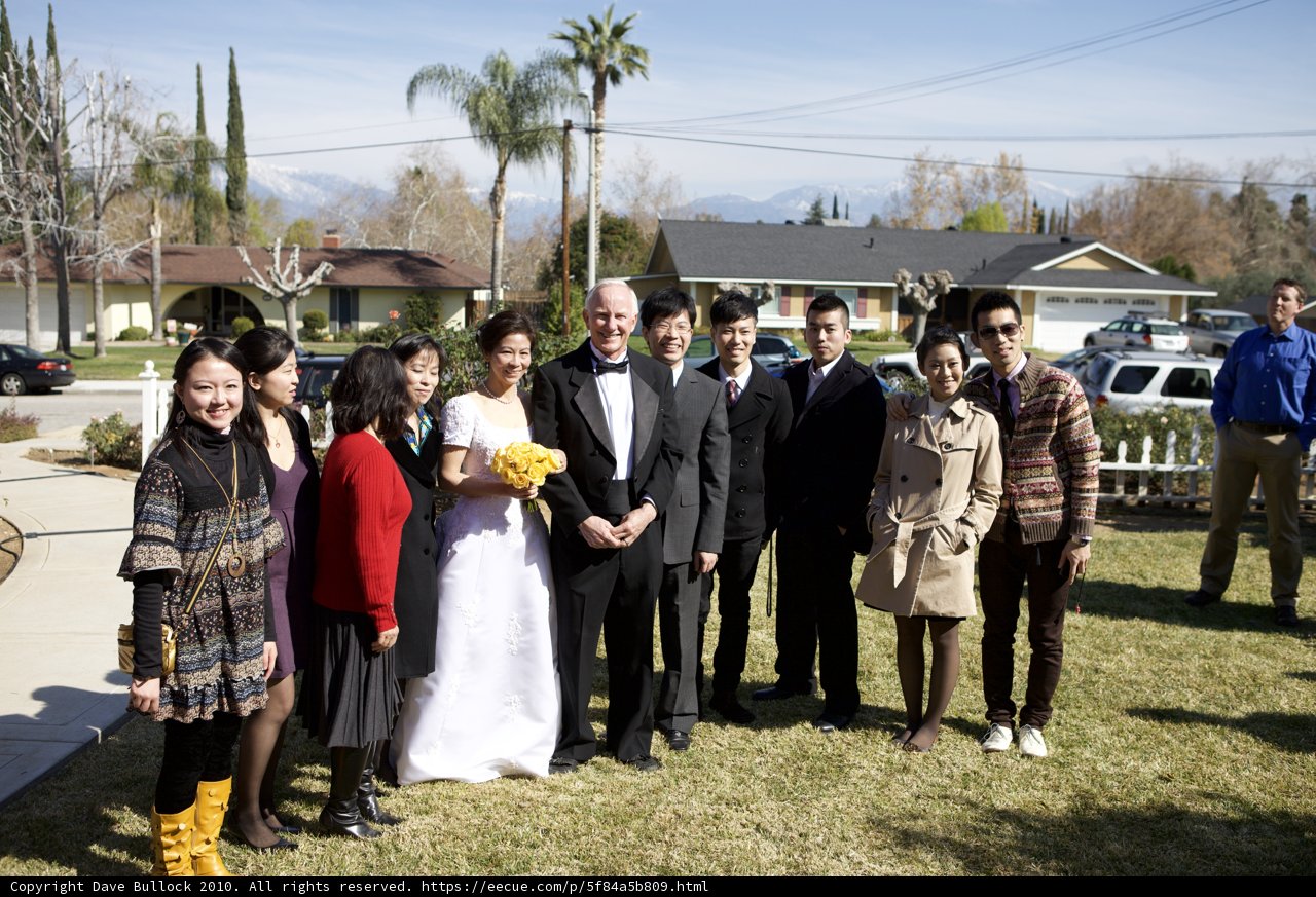 Wedding Party in the Garden