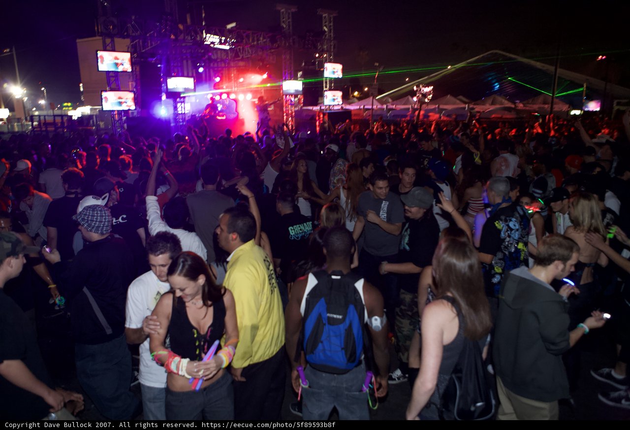 Nocturnal Concert Crowd