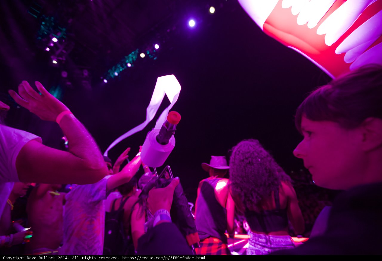 Shark in the Crowd