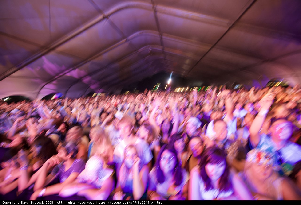 Coachella Music Festival Crowd