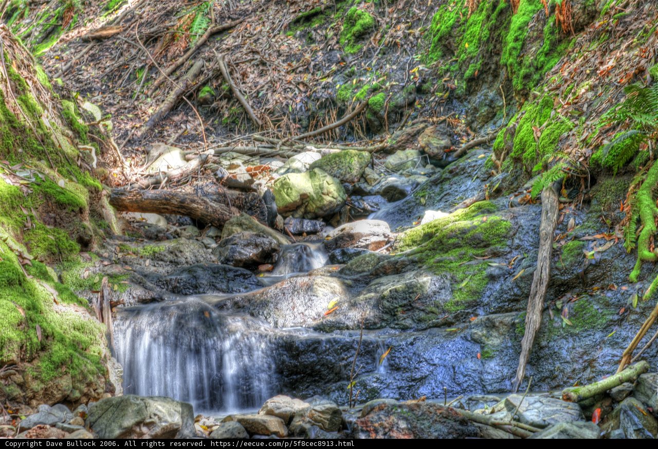 Peaceful Waterfall in the Heart of a Rainforest