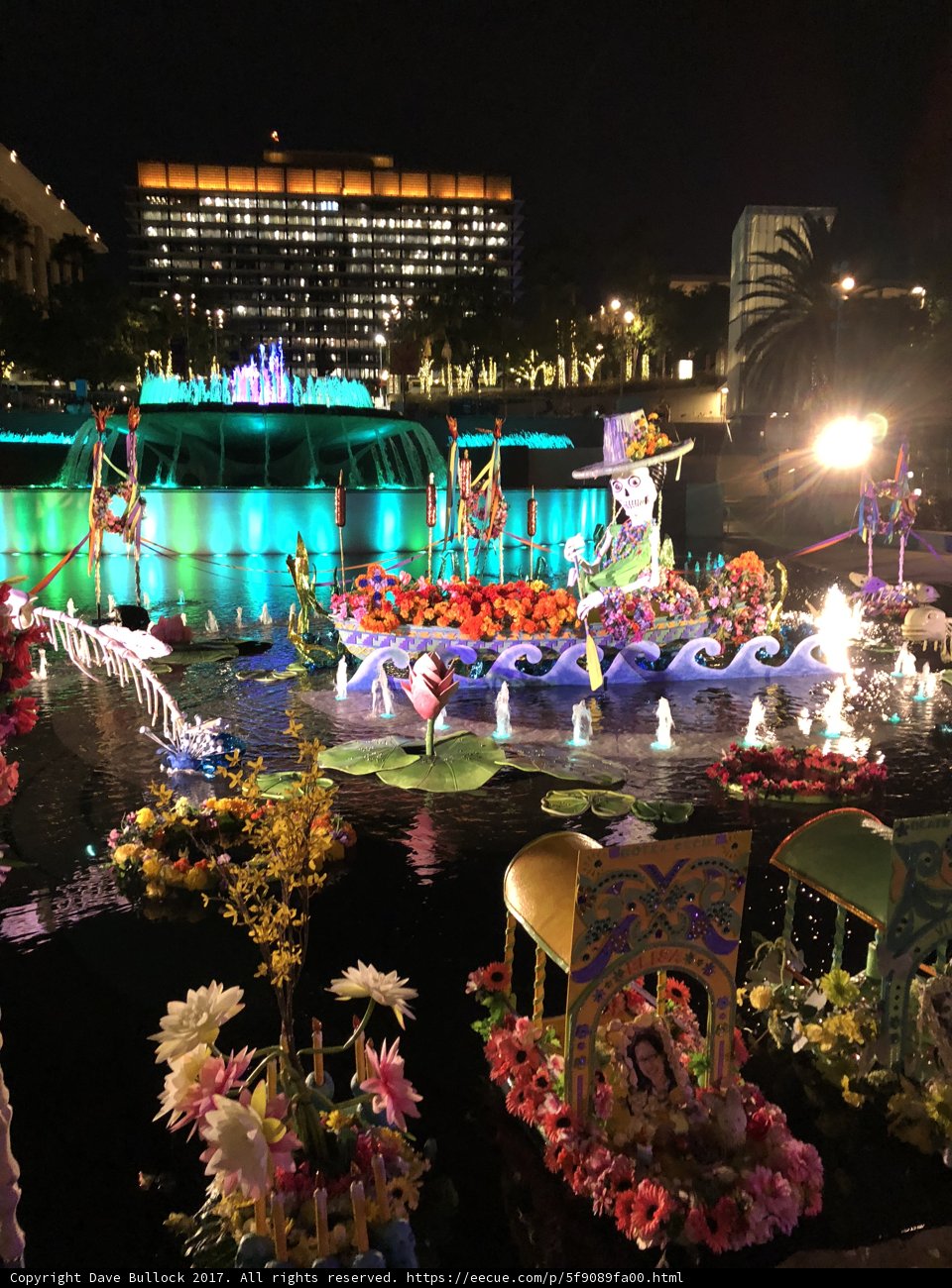 Blossoming Festival on the Water