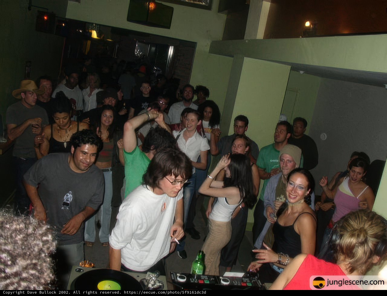 Nightclub Gathering