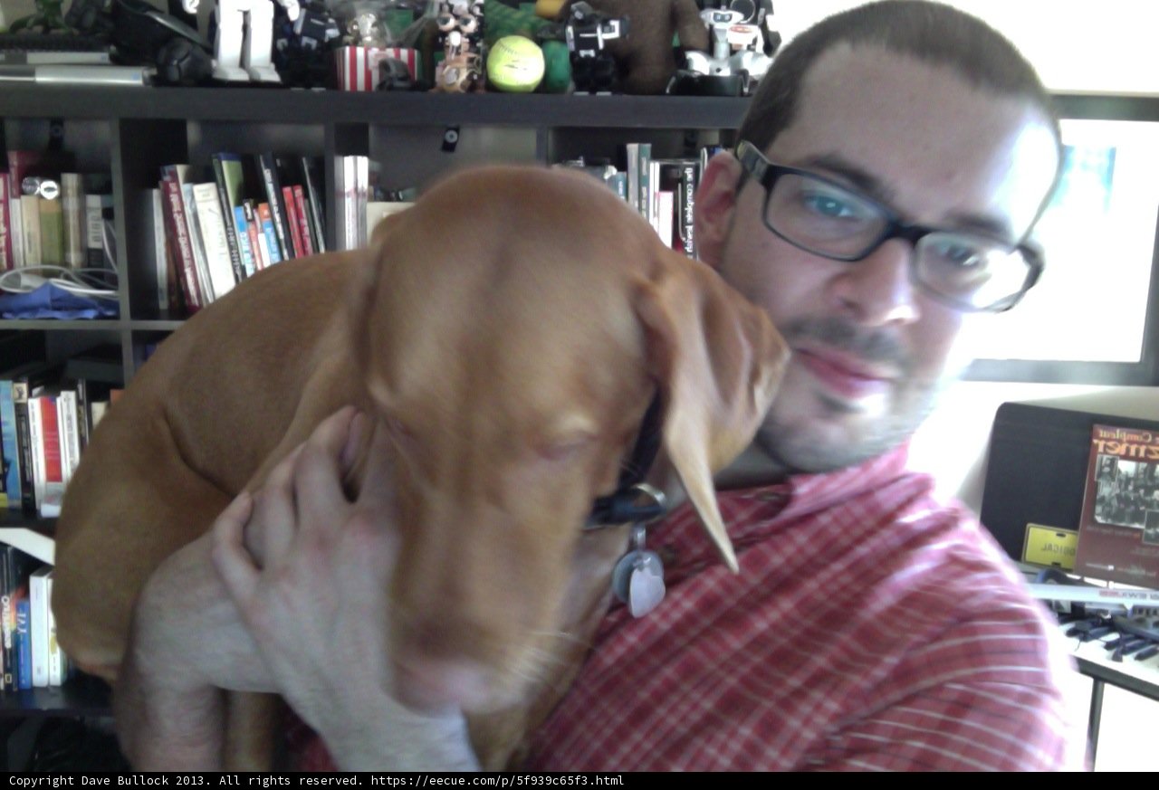 Man and his furry bookworm friend
