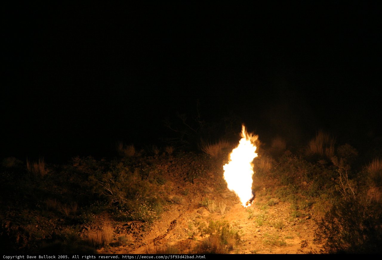 Nighttime Bonfire