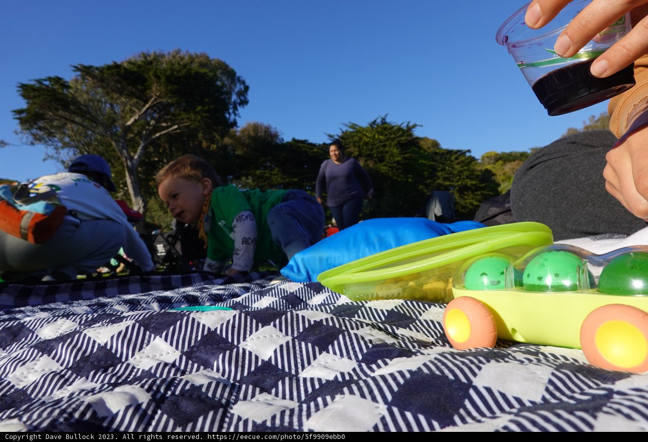 Family Picnic under the Azure Sky