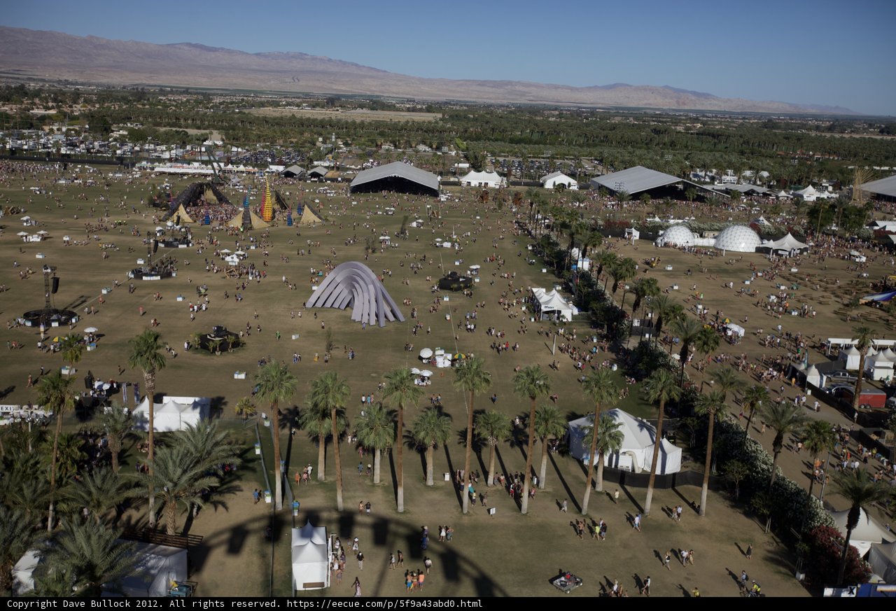 Festival Madness in the Great Outdoors