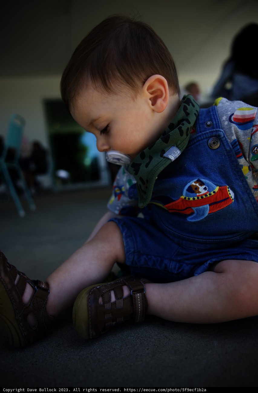 Little Explorer's First Steps