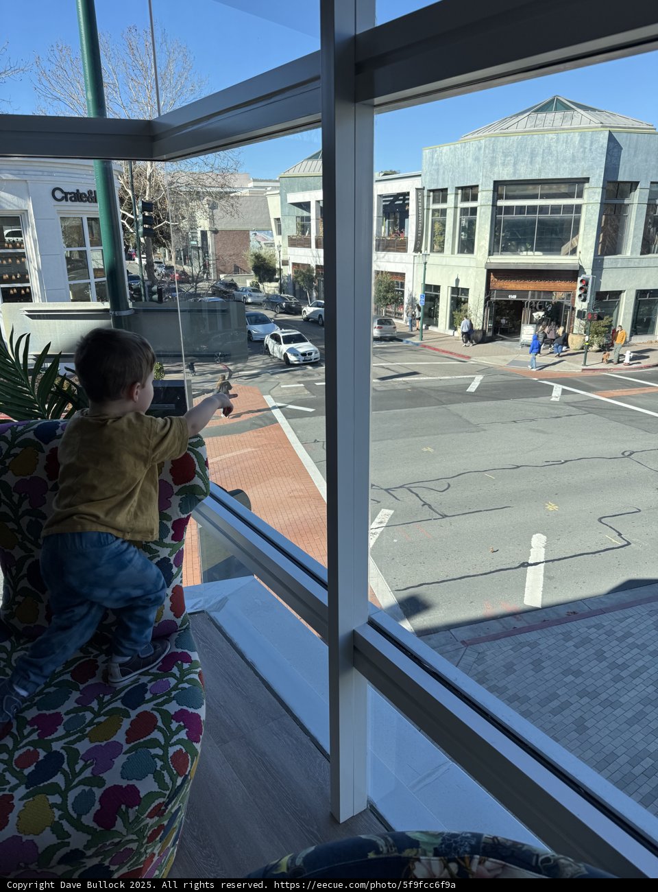 Curiosity in the City