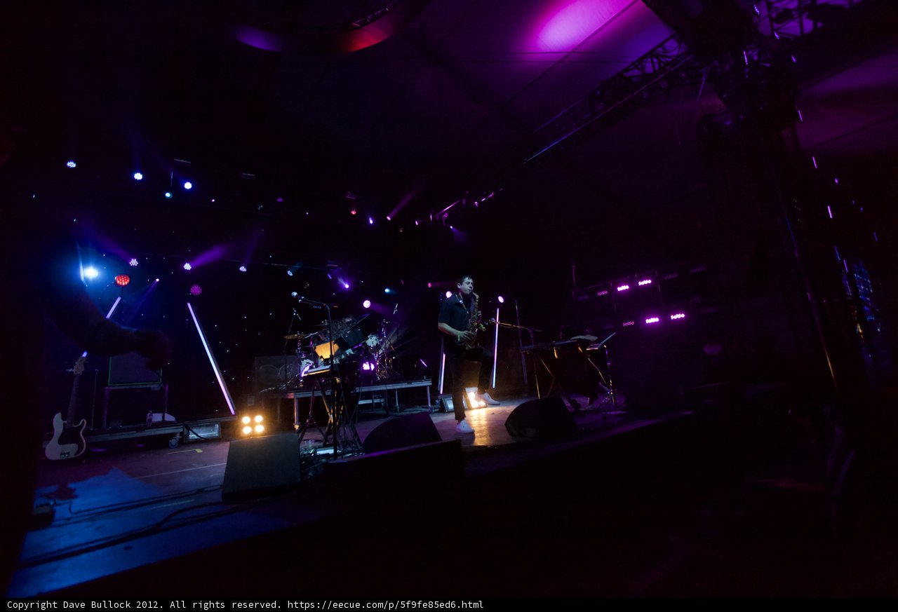 Purple Hues Rock Concert