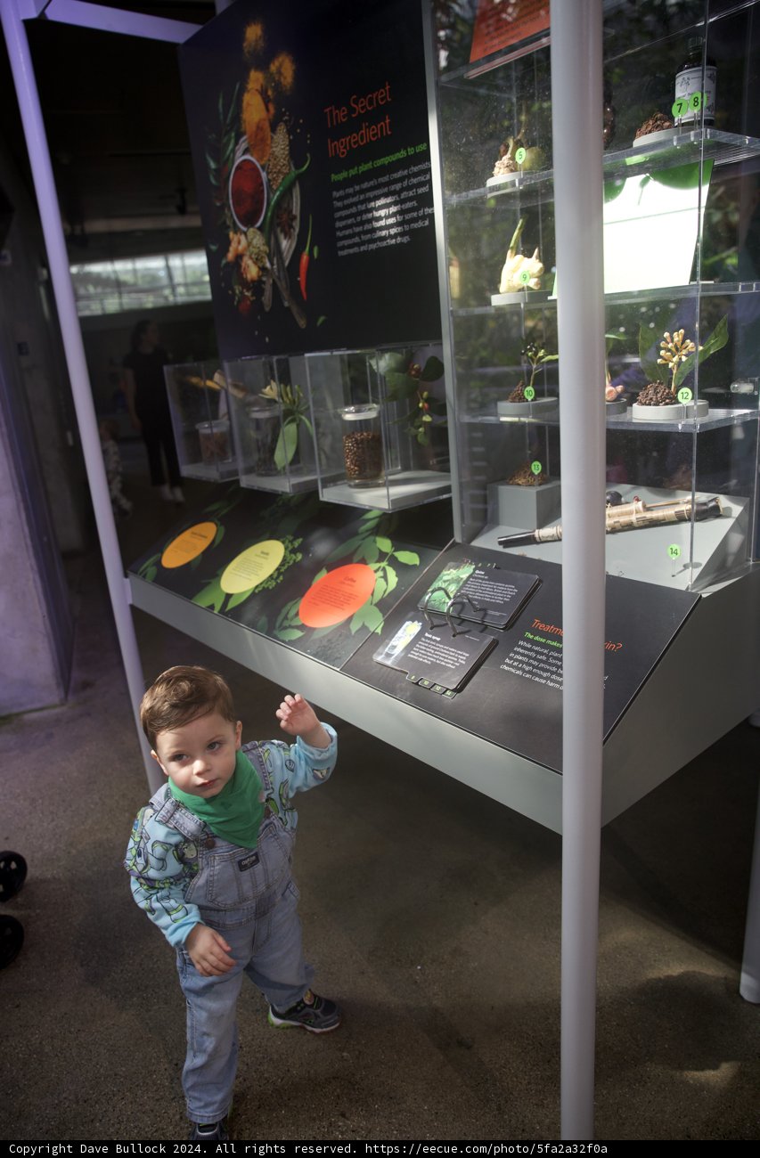 Inspiring Museums Adventures in California 2024