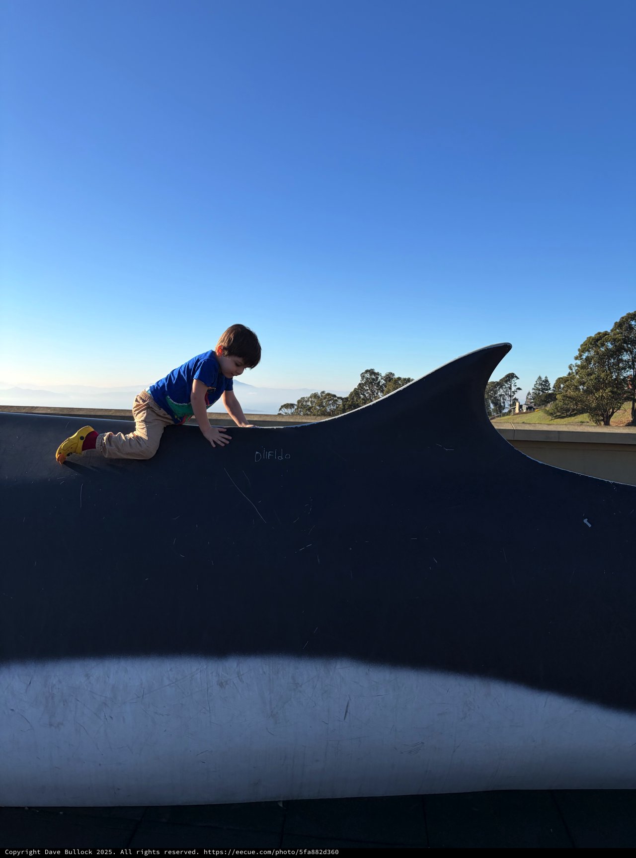 Young Boy Climbing Skateboard Park Ramp at Sunset