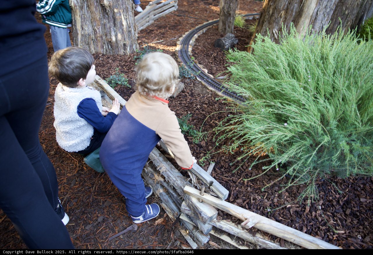 Exploring Nature's Playground