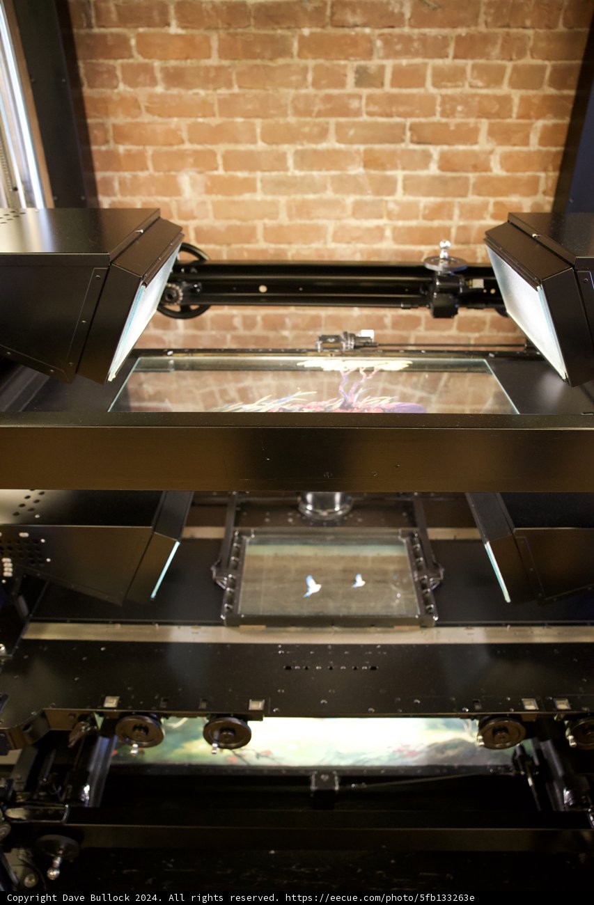 Electronic Marvel in Mirror Reflection