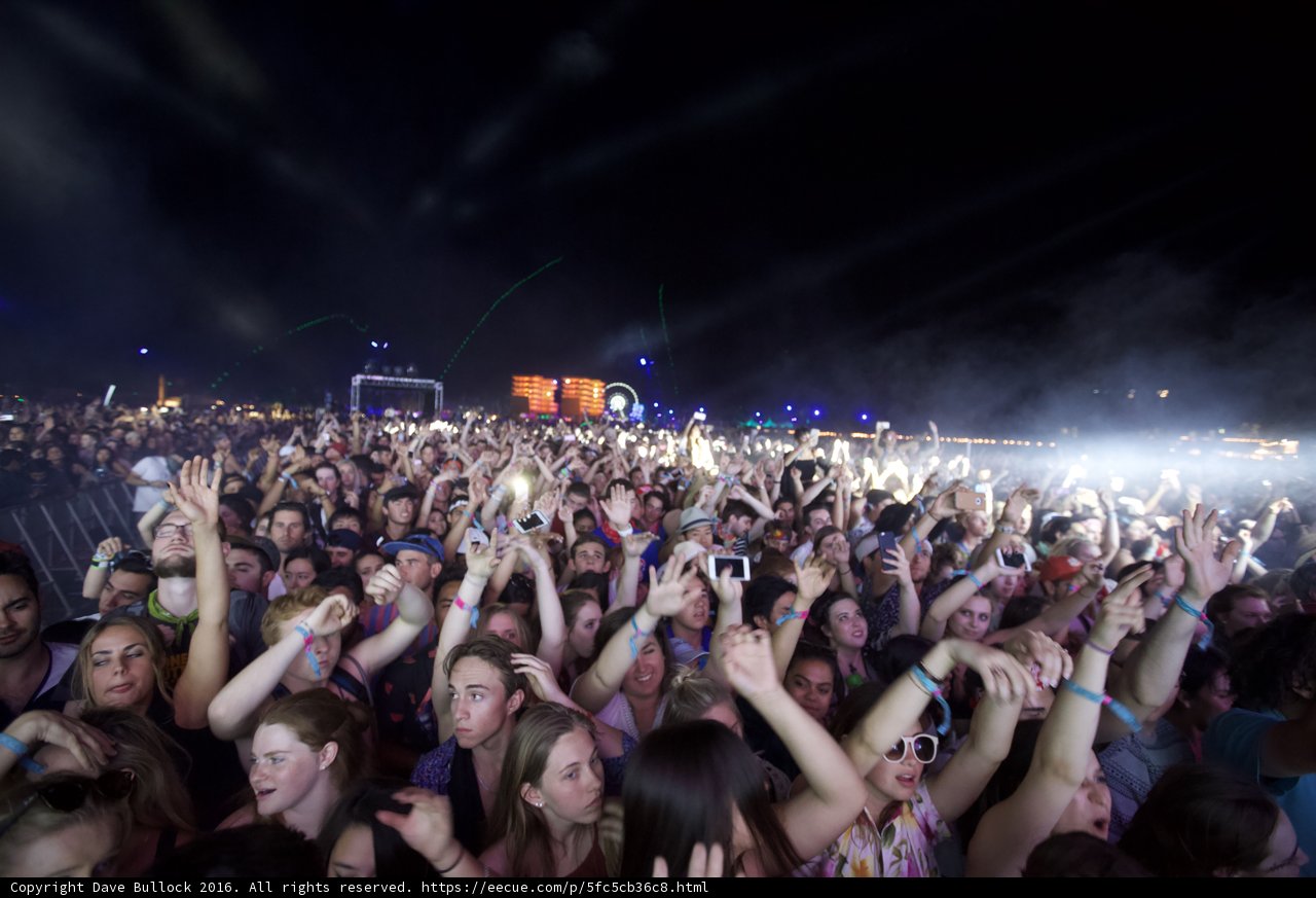 Coachella Nights