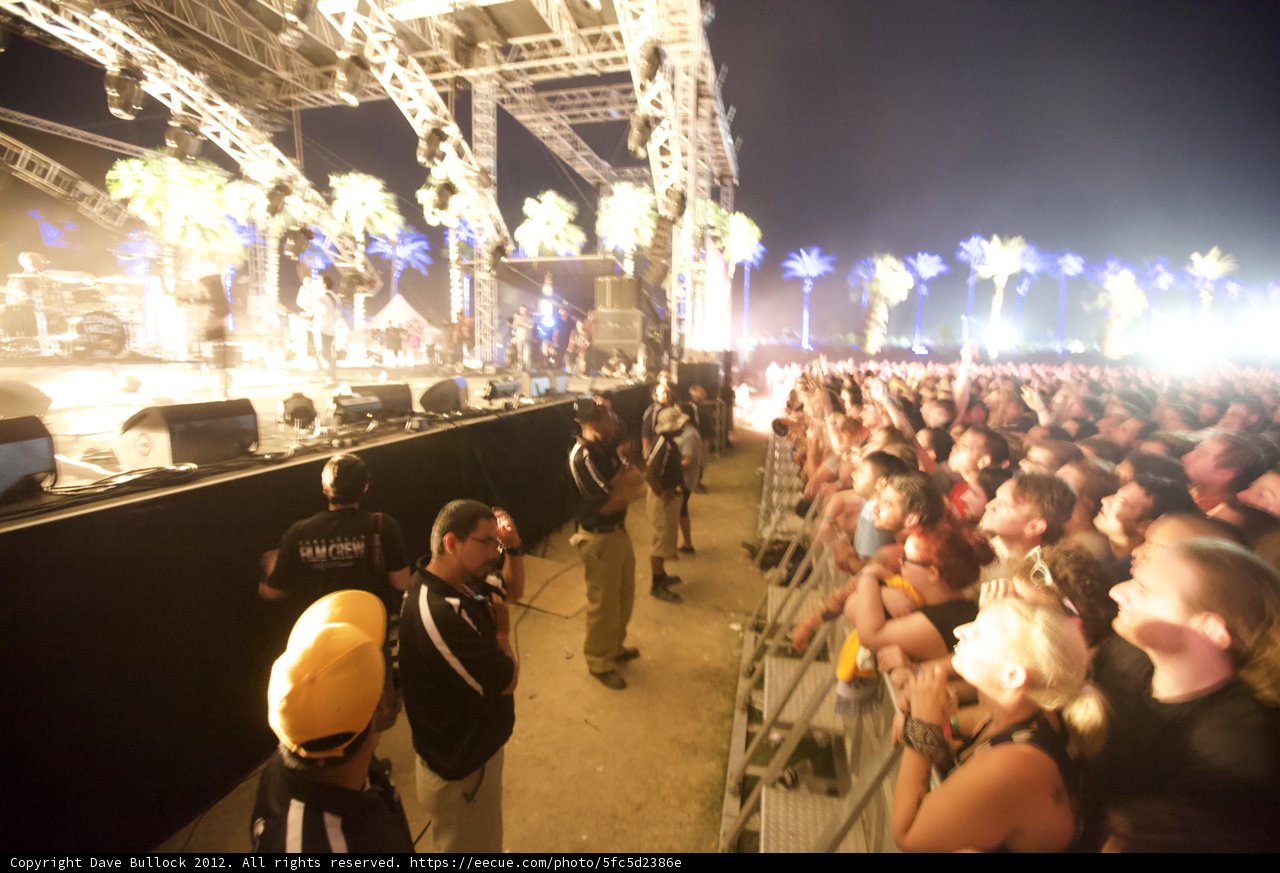 Palm Tree Concert Madness
