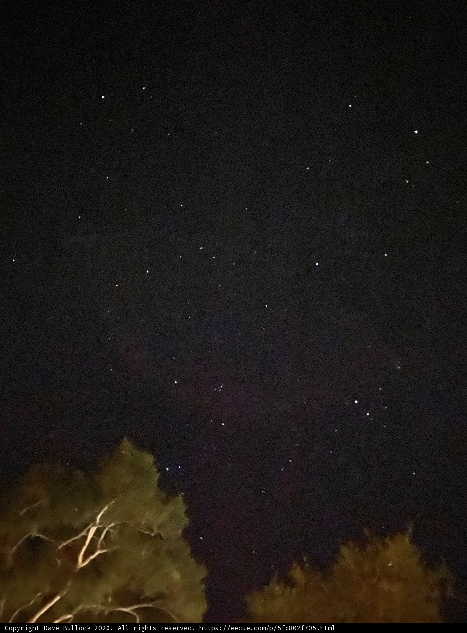 Starry Night in Carmel