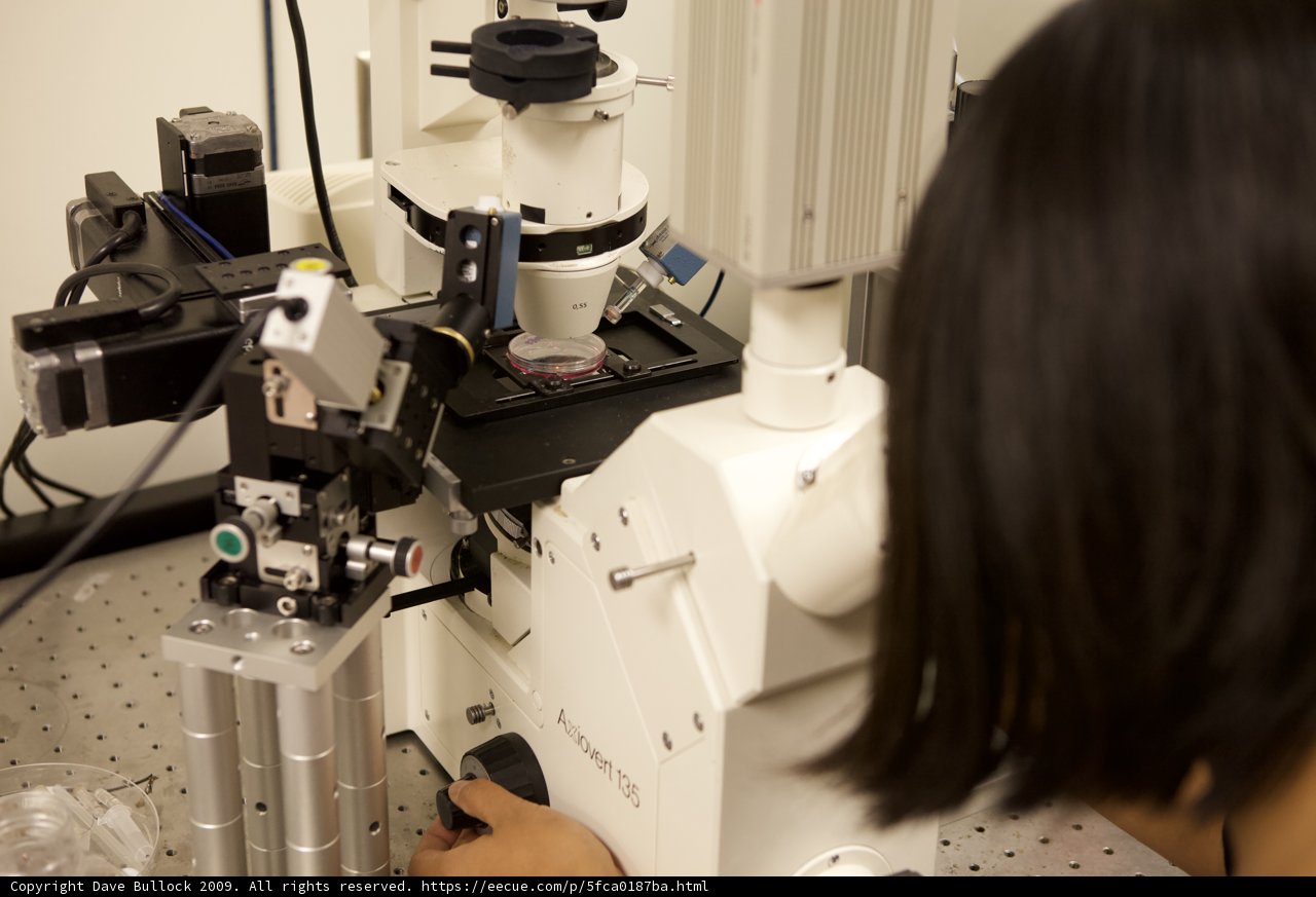 Examining the Microscopic World