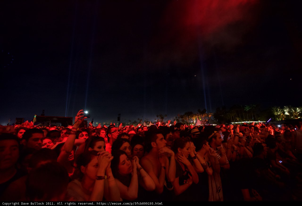 Red Lights Rock the Night
