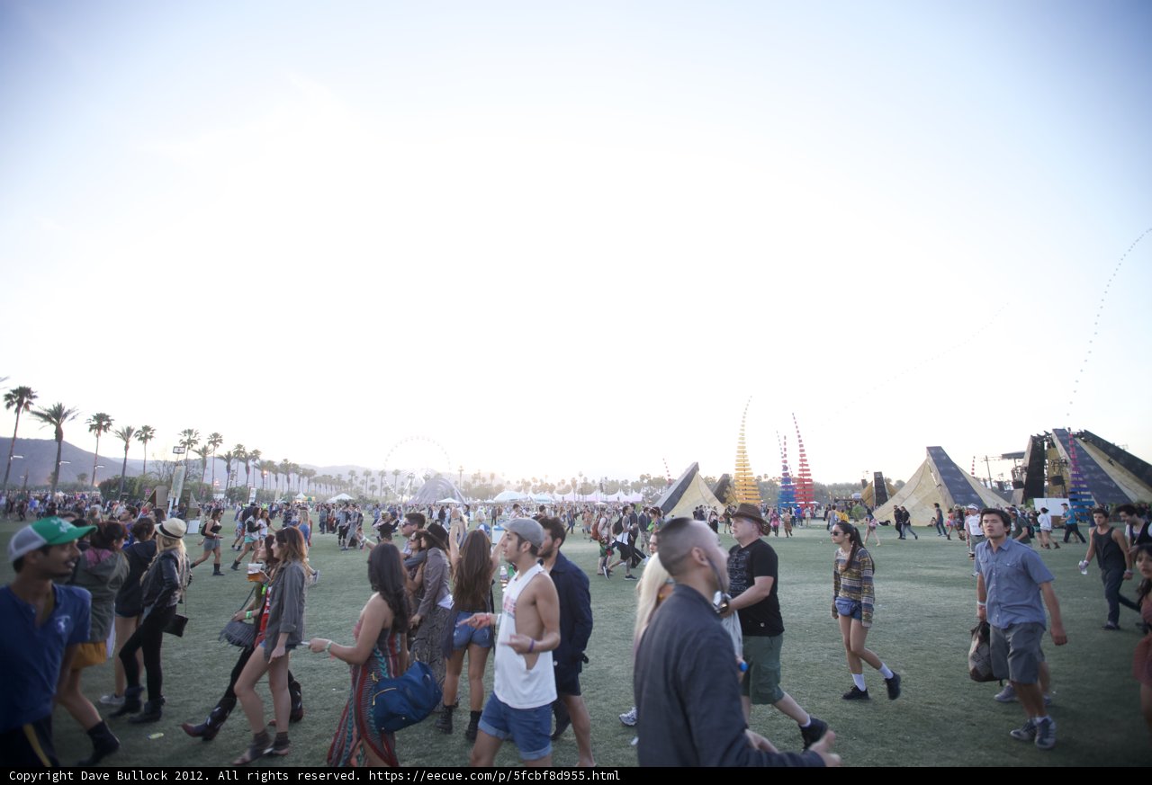 Festival Fun in the Sun