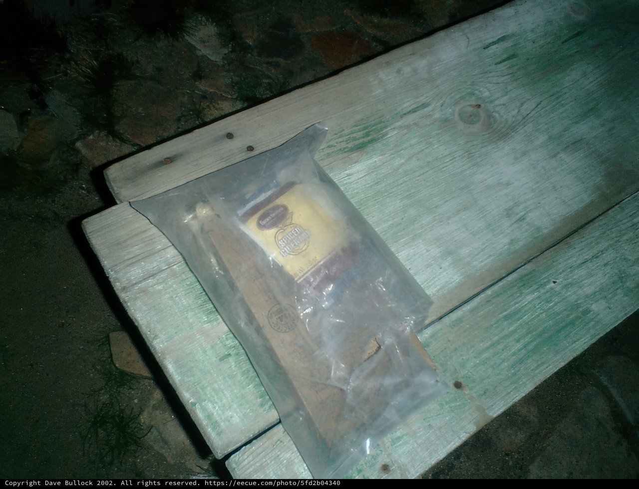 Serenity on a Wooden Bench