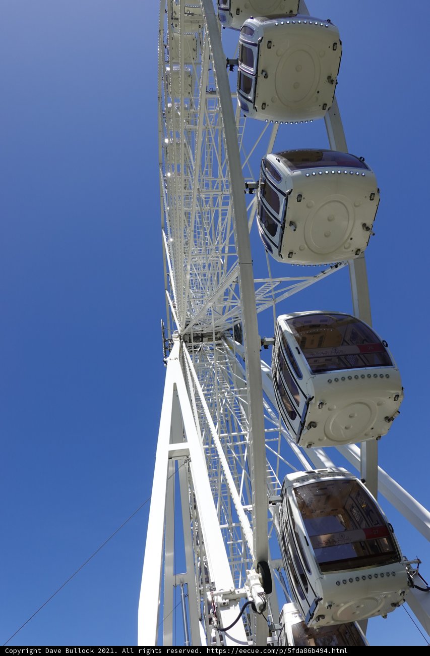 Fun in the Blue Skies