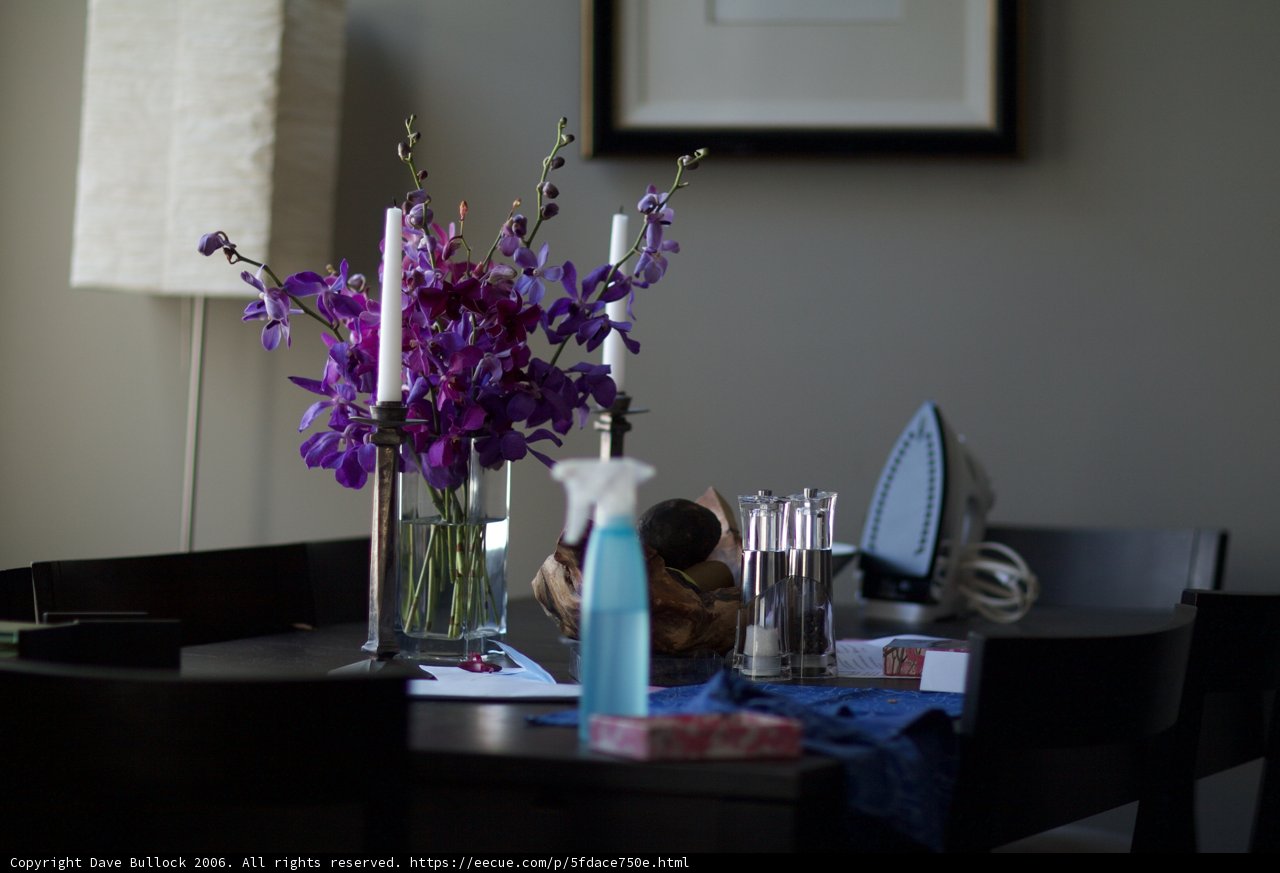 Ikebana-inspired Flower Arrangement in a Frame Vase