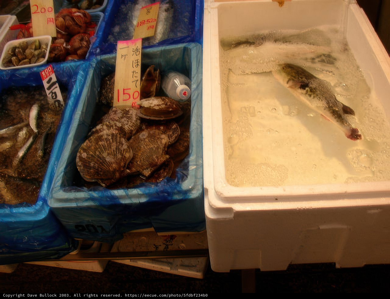 Seafood on Ice in Tokyo