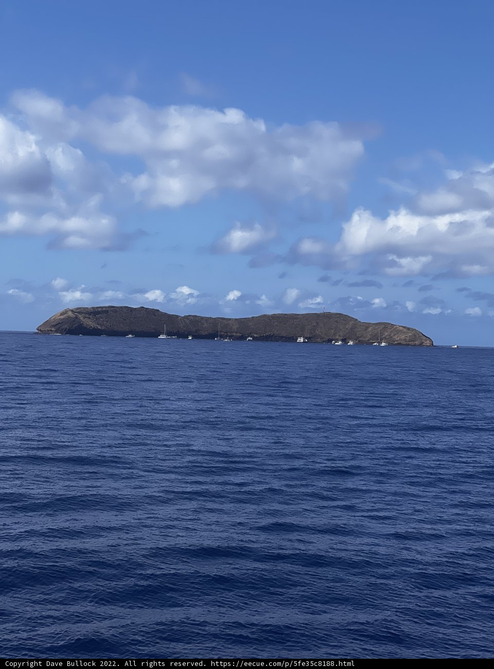 Island Serenity