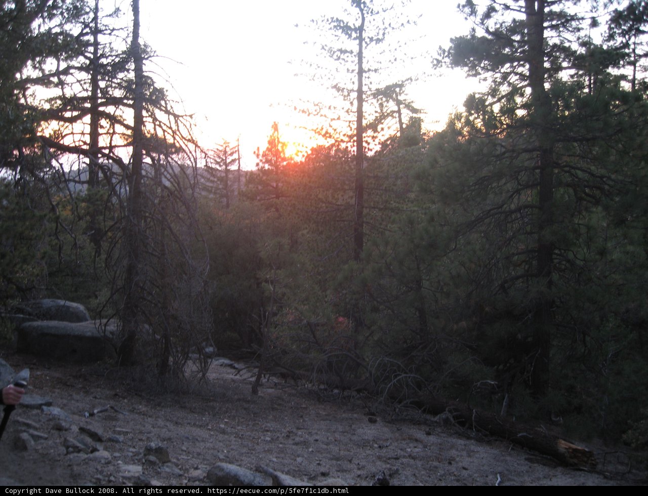 Capturing the Flare in the Wilderness