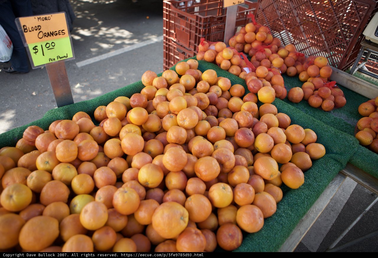 Citrus Feast