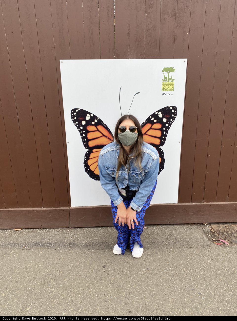Butterfly Mask Pose