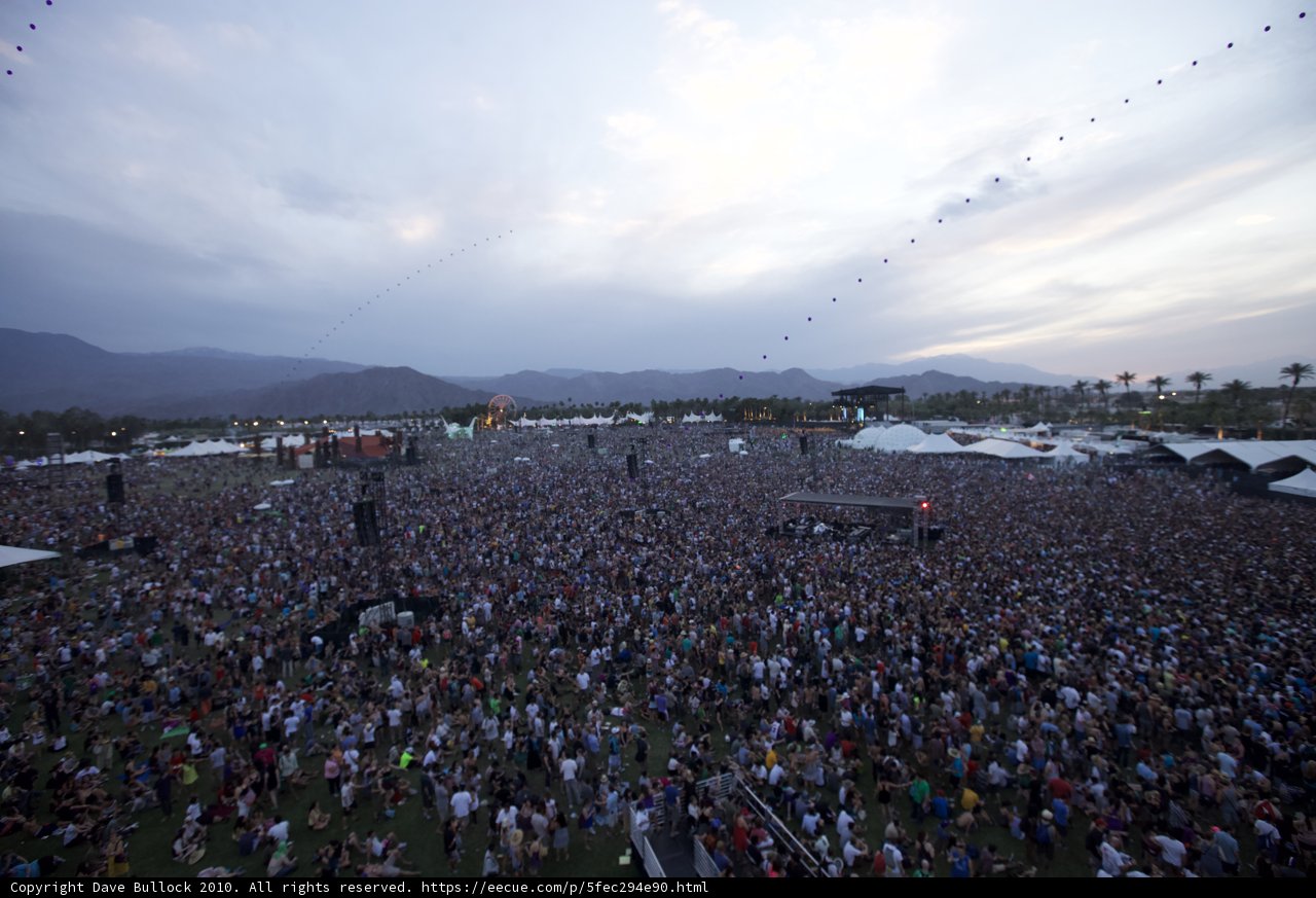 Music Festival Madness