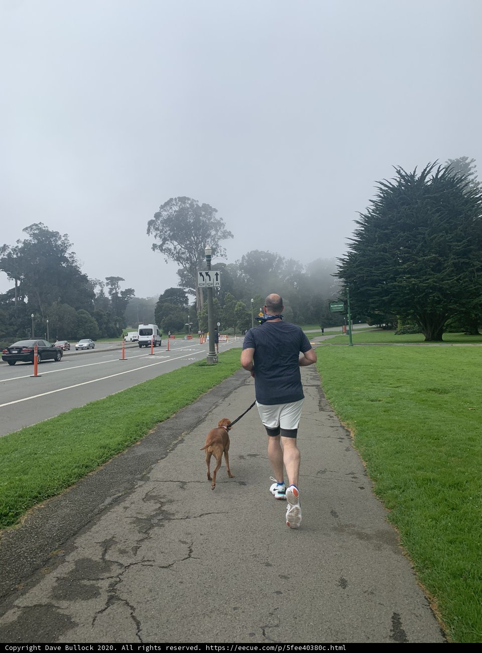 Running with Man's Best Friend