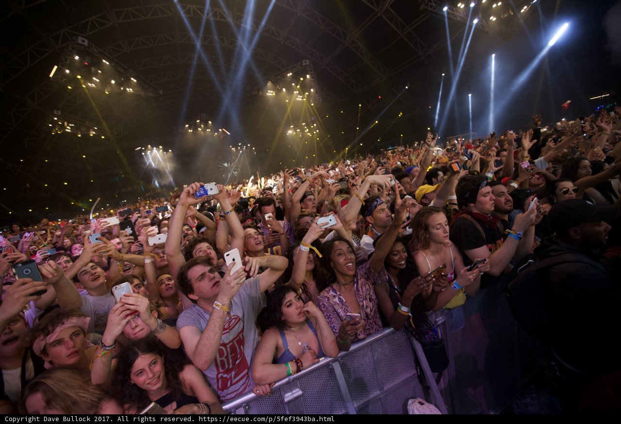 Vibing with the Crowd