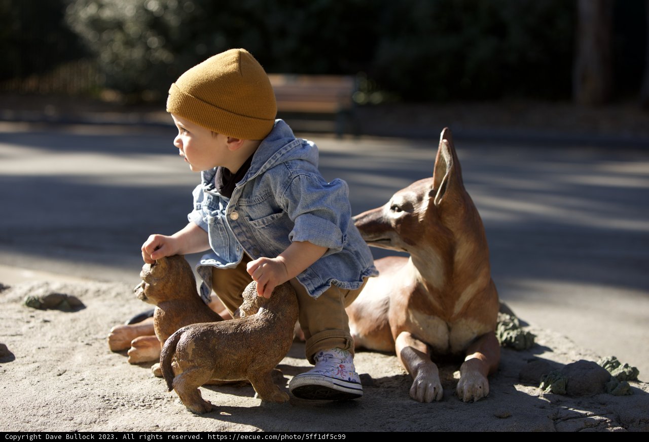 A Delightful Playtime in SF Zoo, 2023