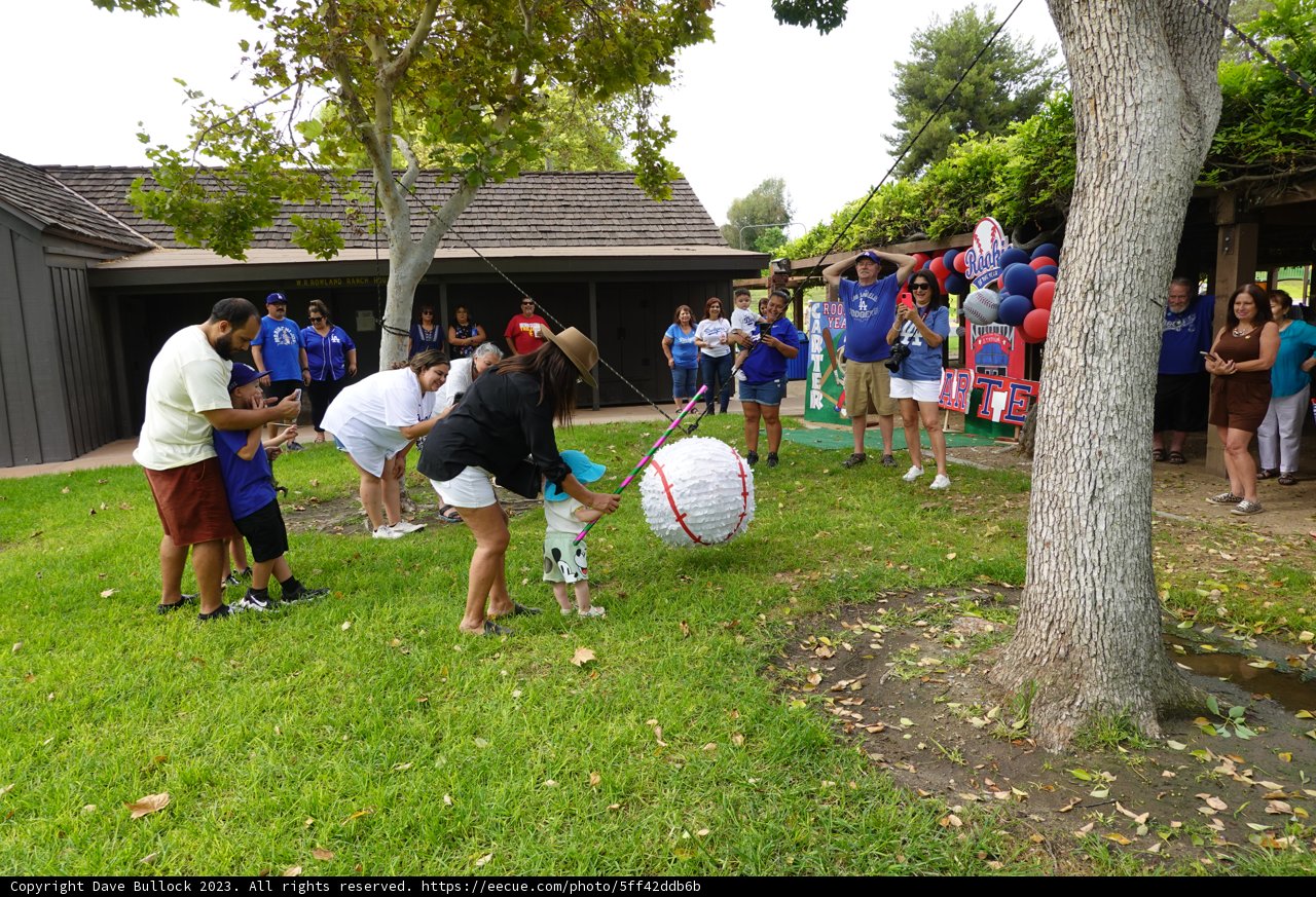 Summer Fun: Large-Scale Soccer Game!