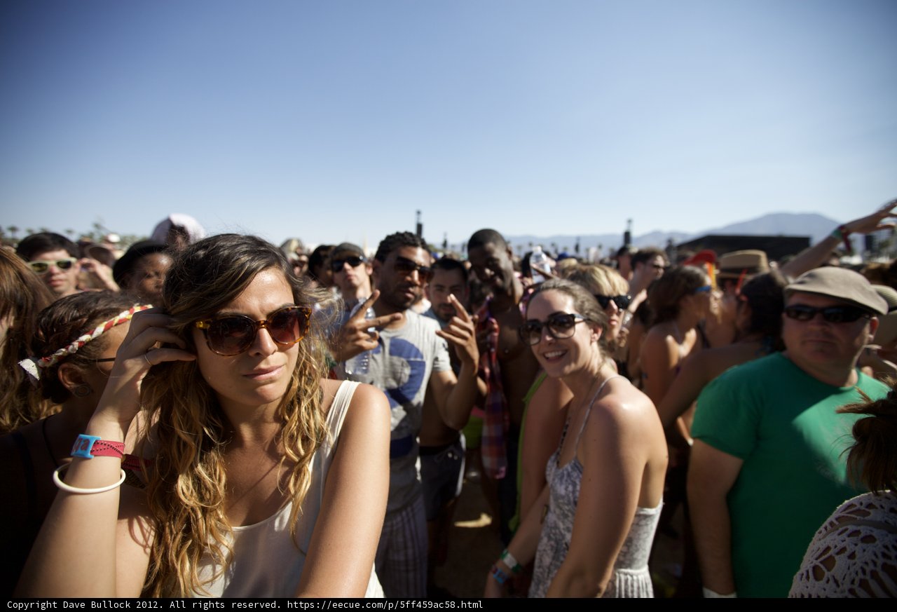 Festival Fun