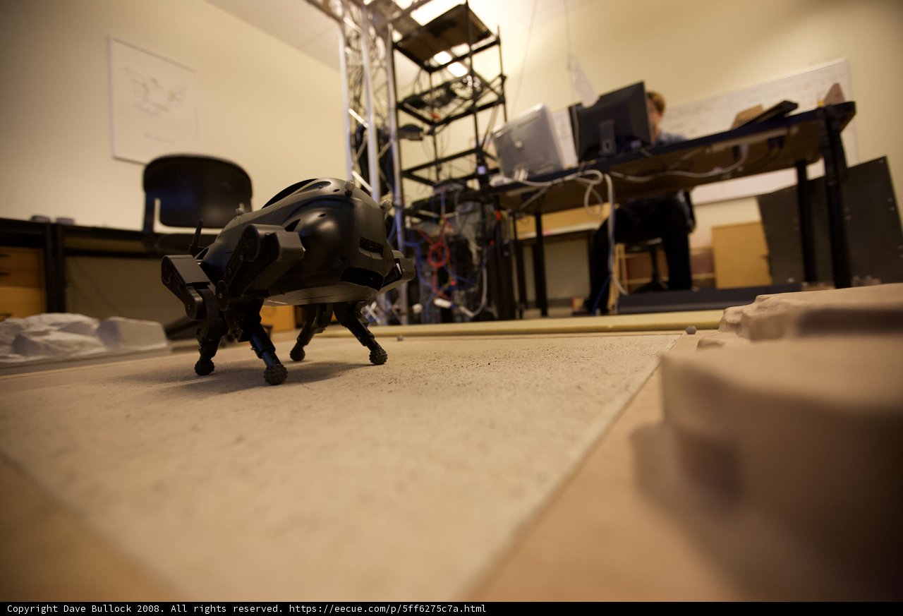 Robotic Explorer Wandering on Wooden Floors