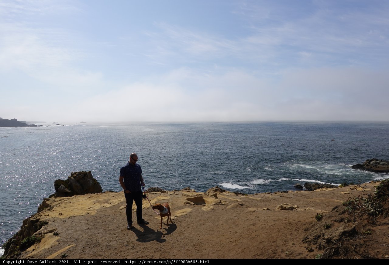 Cliffside Companion