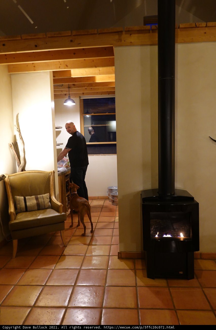 A Cozy Evening with Man's Best Friend