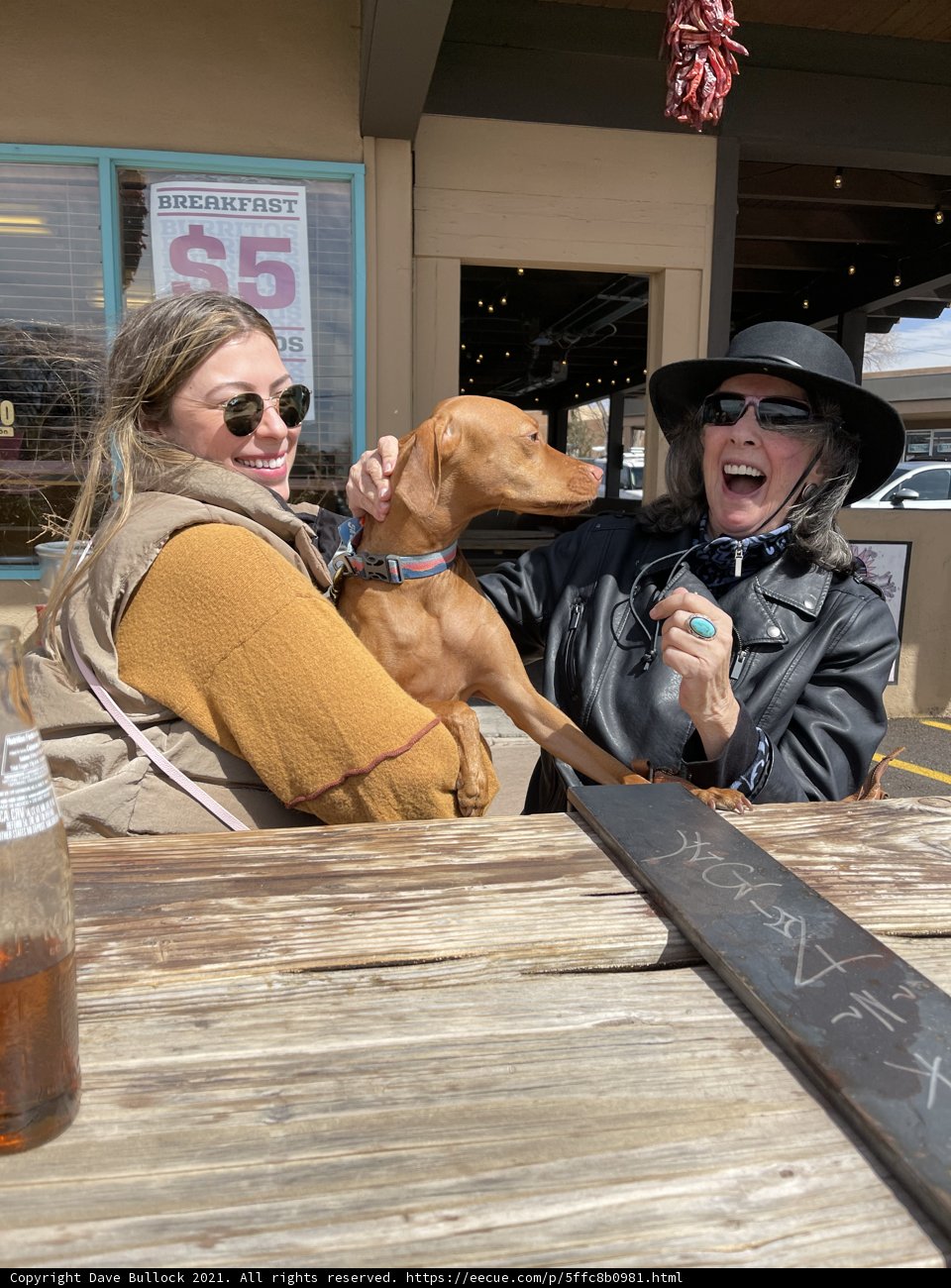A Woman and Her Best Friend at a Santa Fe Cafe