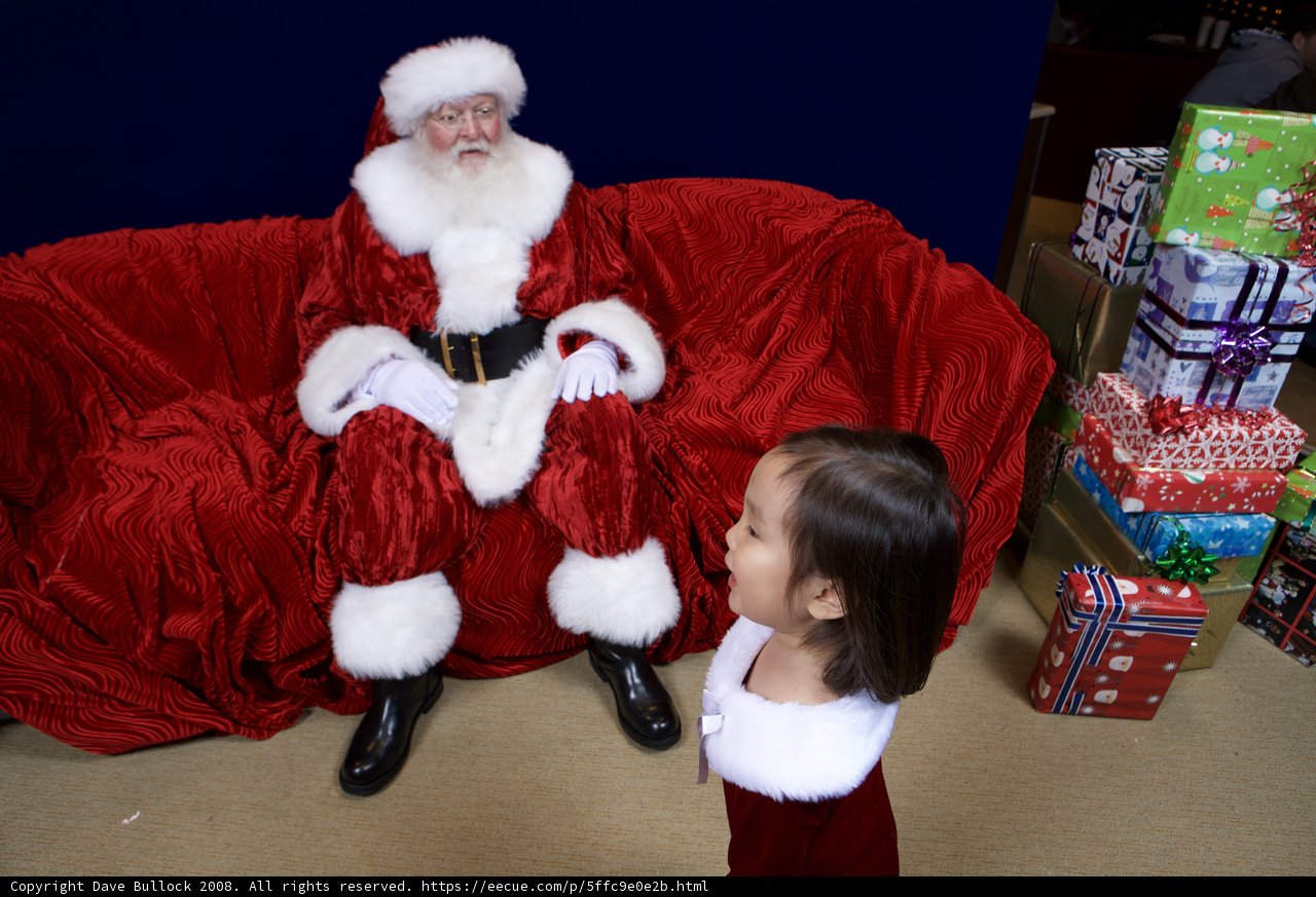 A Cozy Christmas with Santa and Friends