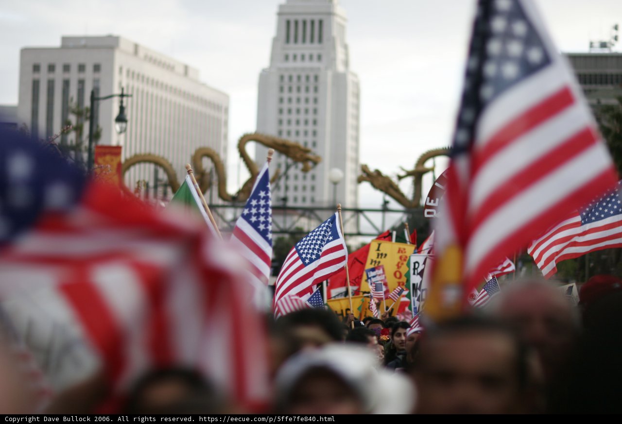 United in Flags