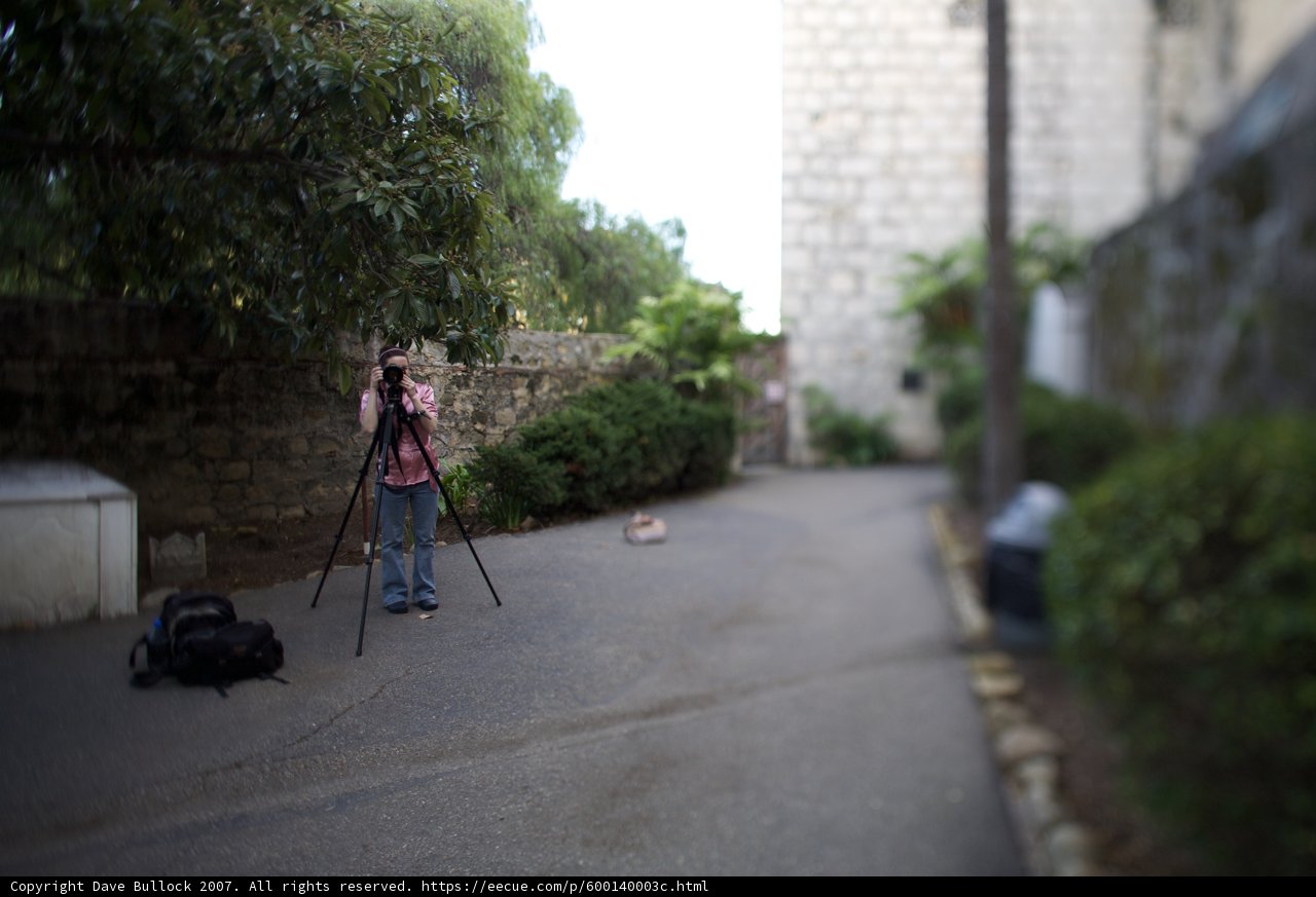 Capturing a Furry Friend