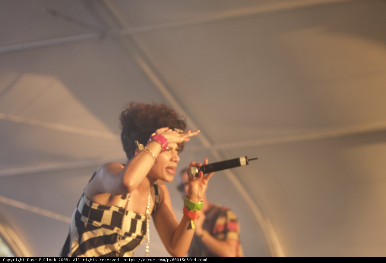 Singer Belts Out Hit at Coachella Performance