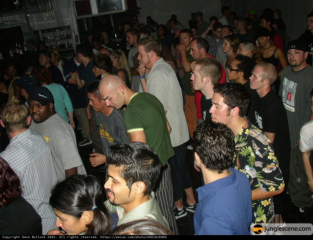 Nightclub Gathering