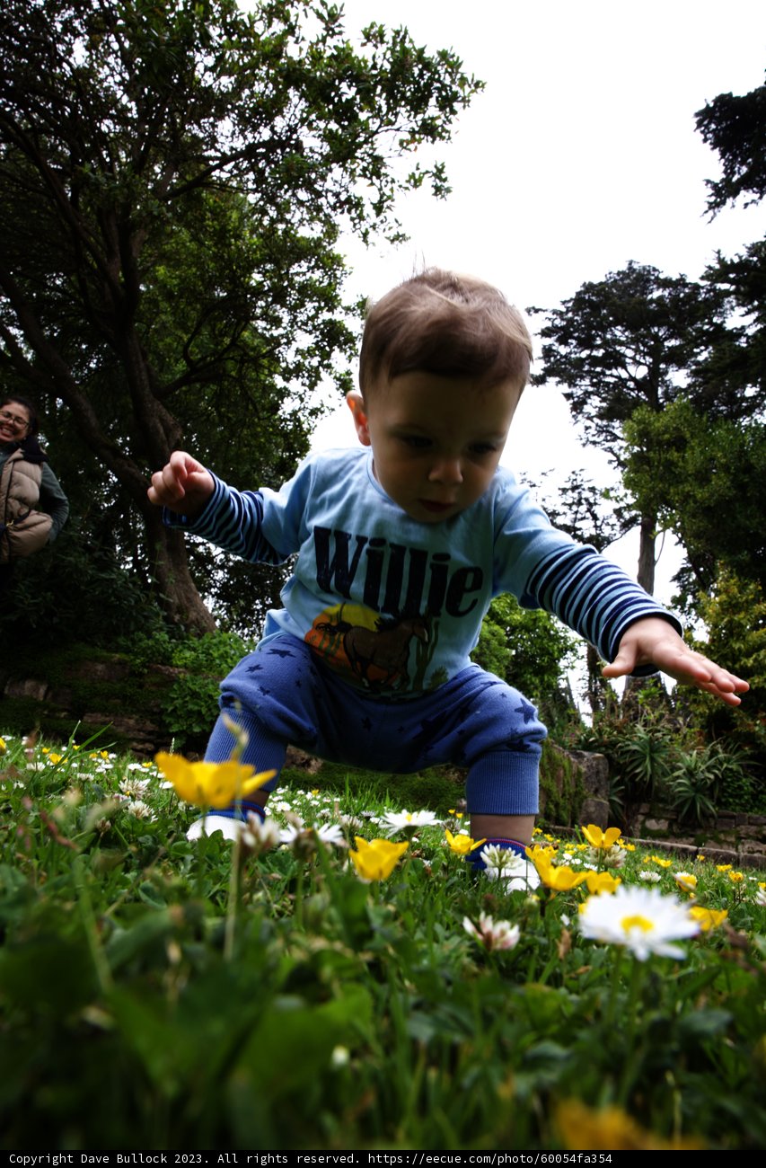 A Playful Day at the San Francisco Botanical Garden